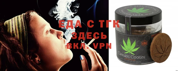 шишки Туринск