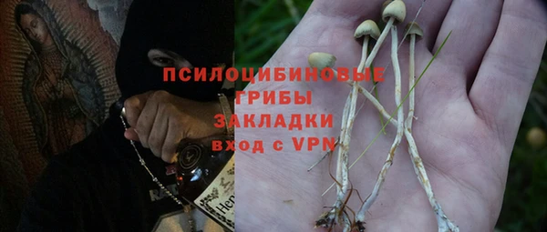соль ск Бородино