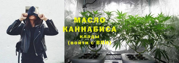 соль ск Бородино